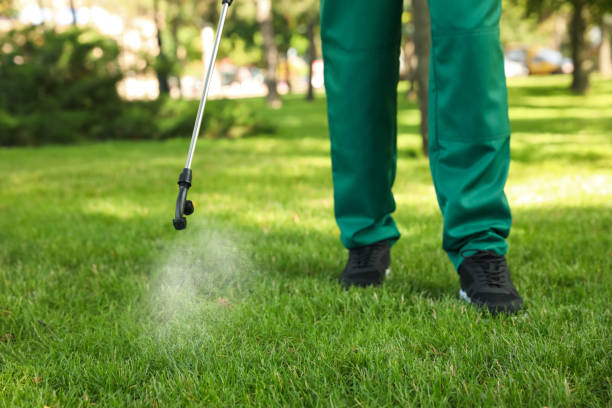 Best Pest Prevention Services  in Ojai, CA