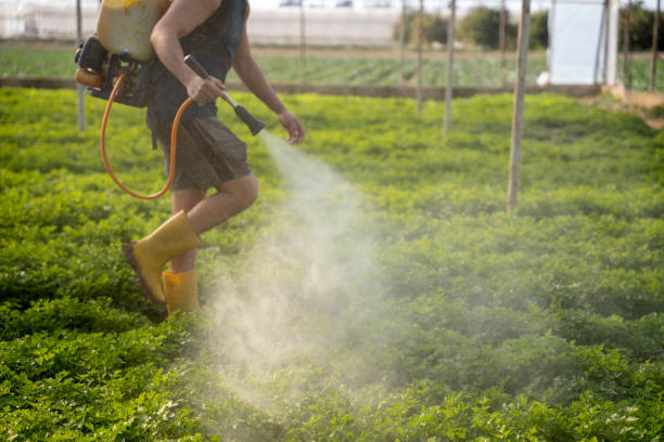 Pest Prevention Services in Ojai, CA