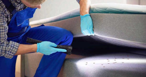 Best Residential Pest Control  in Ojai, CA